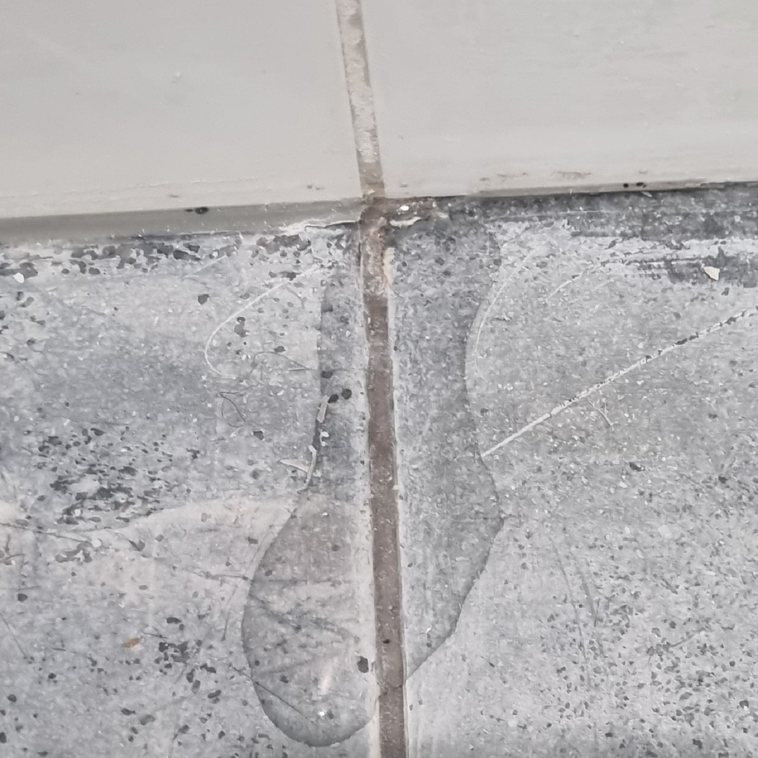 Water ingress due to failed silicone joints