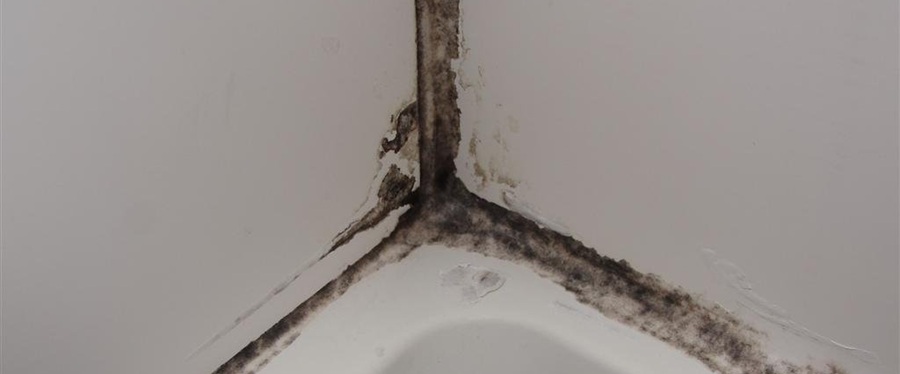 Silicone sealant being applied along a bathtub edge